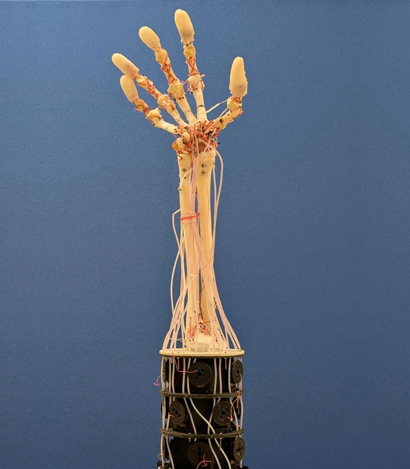 人体模倣ロボット前腕の研究開発